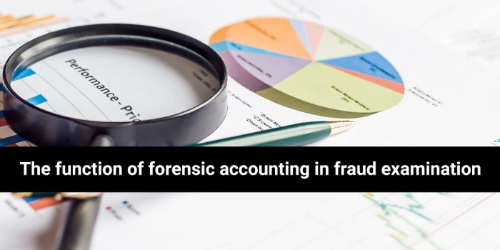 Forensic accounting and fraud examination 2nd edition