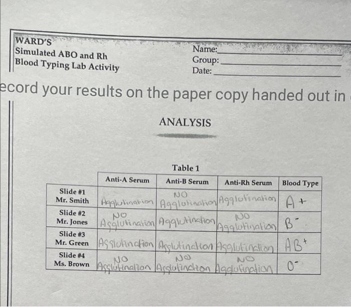 Abo rh simulated blood typing worksheet