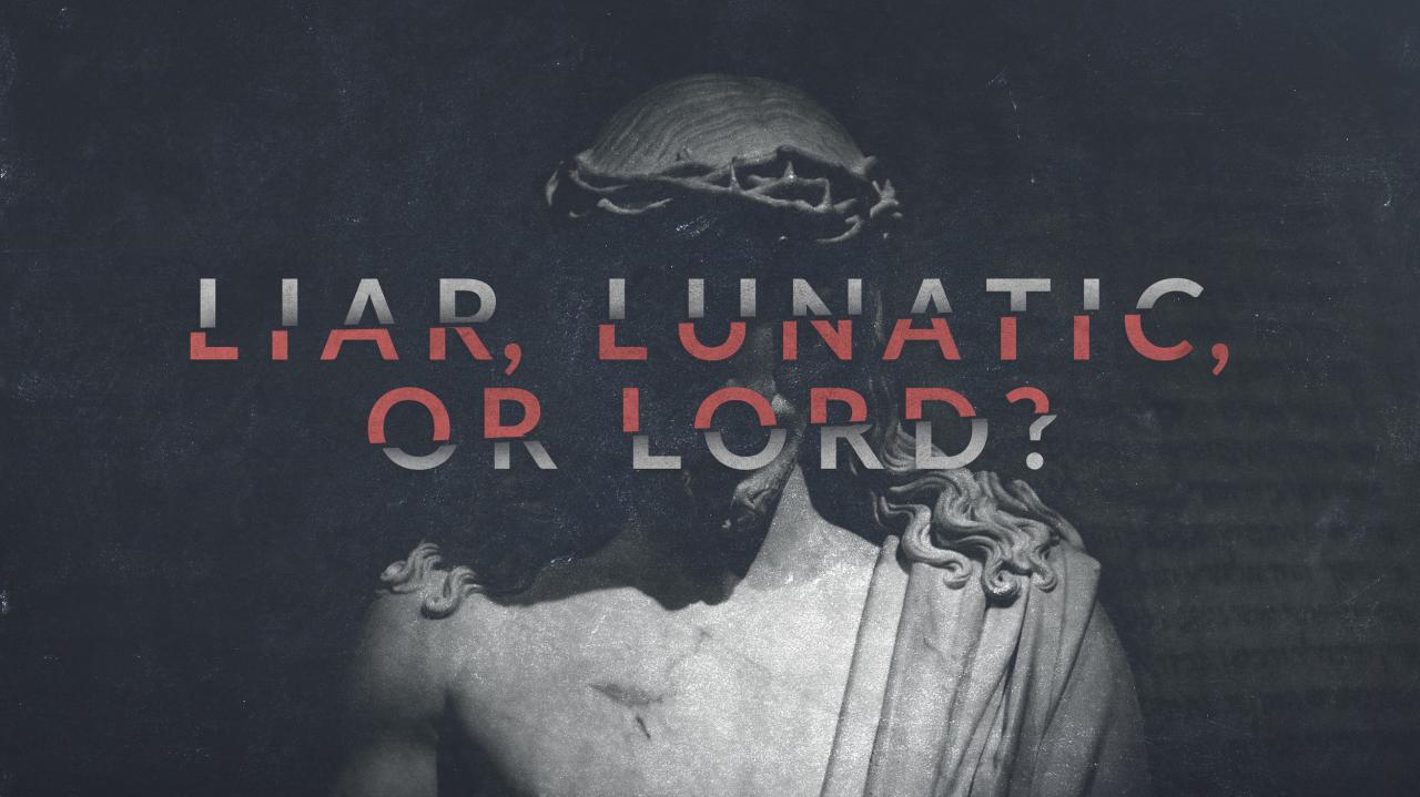 Liar lunatic or lord book