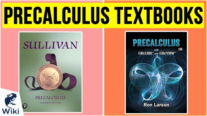 Sullivan precalculus 10th edition pdf