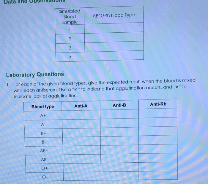 Abo rh simulated blood typing worksheet